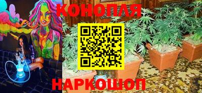 стафф Бузулук